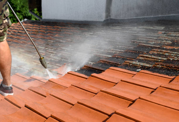 Roof Power Washing Services in Oak Brook, IL